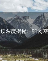 全面解读深度揭秘：91网避坑指南