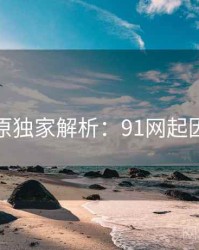 数据还原独家解析：91网起因与影响