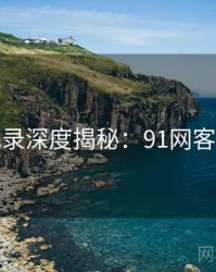 全景记录深度揭秘：91网客观复盘