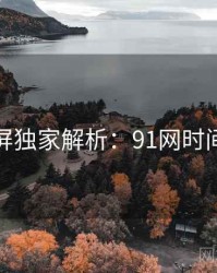 全网刷屏独家解析：91网时间轴梳理