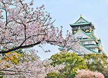 《神马影视》热播榜单揭秘