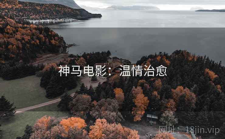 神马电影：温情治愈