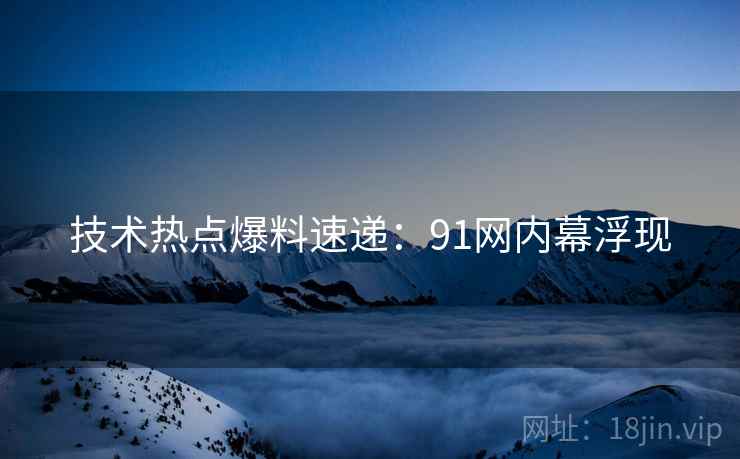 技术热点爆料速递：91网内幕浮现