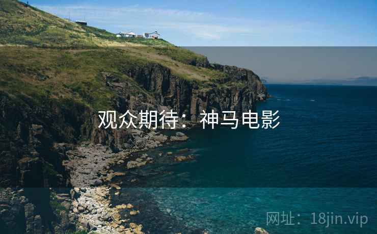 观众期待：神马电影