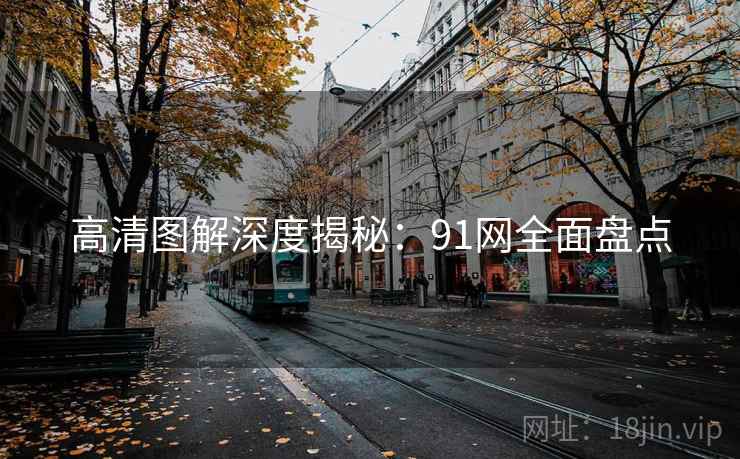 高清图解深度揭秘：91网全面盘点