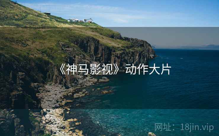 《神马影视》动作大片