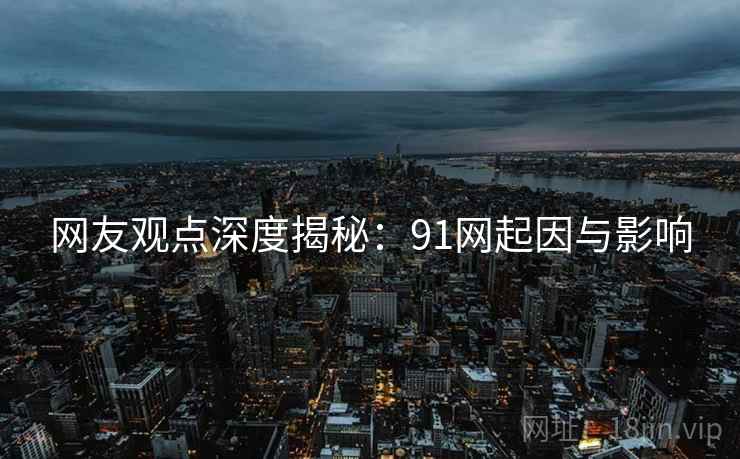 网友观点深度揭秘：91网起因与影响