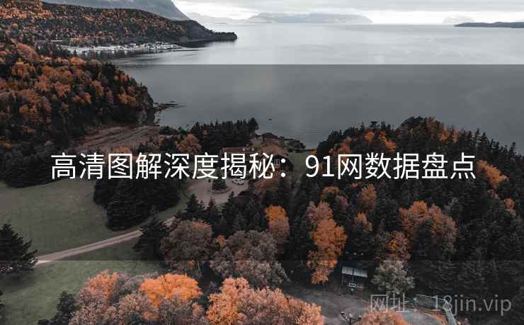 高清图解深度揭秘：91网数据盘点