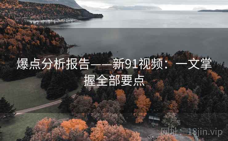 爆点分析报告——新91视频：一文掌握全部要点