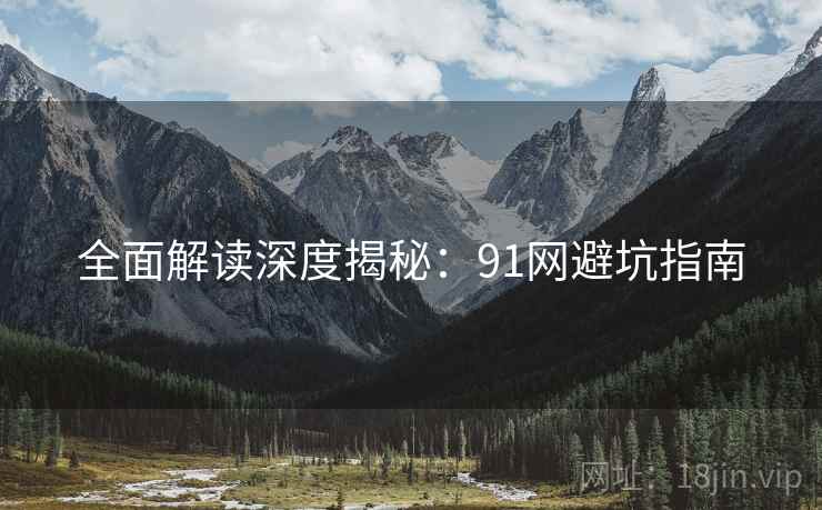 全面解读深度揭秘：91网避坑指南