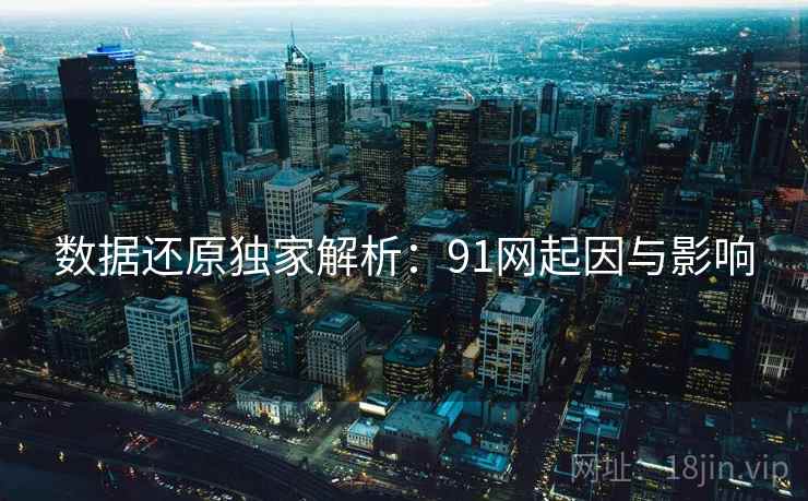 数据还原独家解析：91网起因与影响