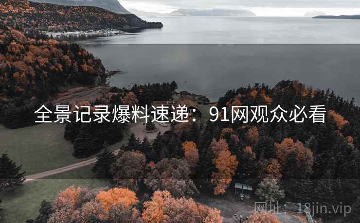 全景记录爆料速递：91网观众必看